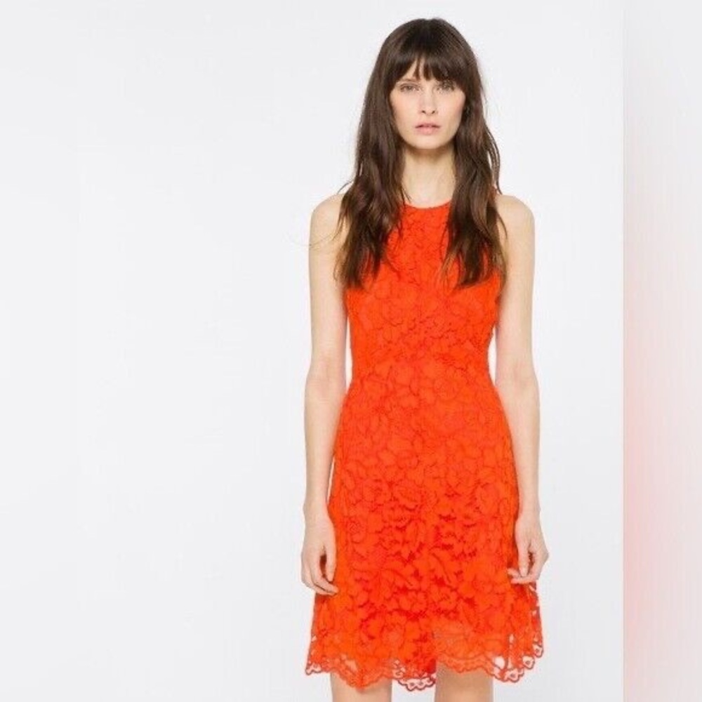 Sandro lace dress